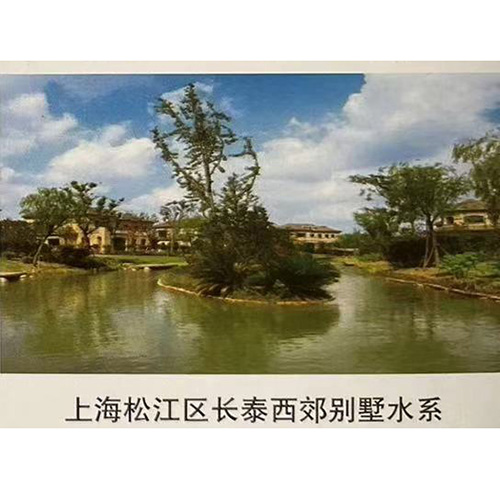 上海松江區(qū)長(zhǎng)泰西郊別墅水系